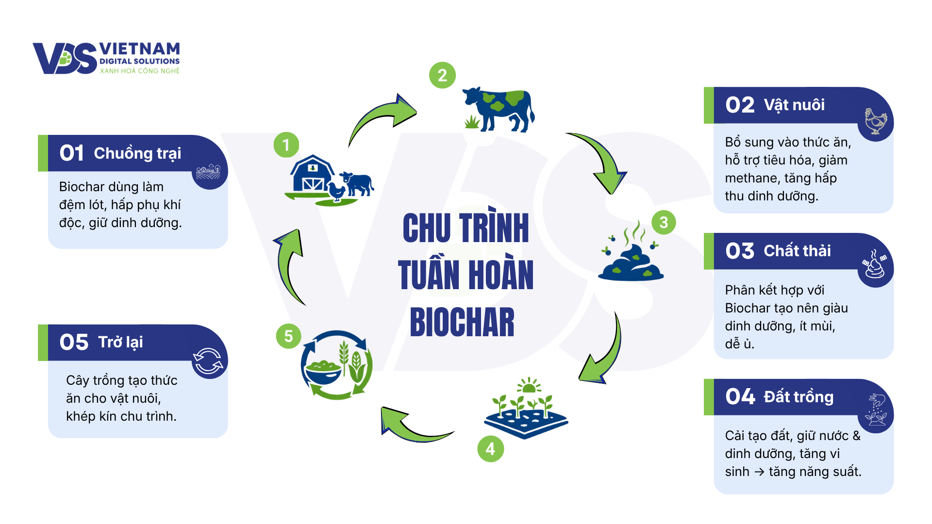 chu-ki-tuan-hoan-biochar-trong-nganh-chan-nuoi